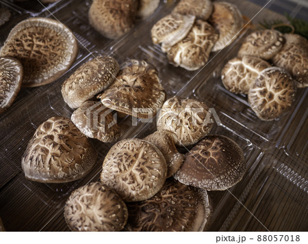 原木椎茸1 原木椎茸1 88057018