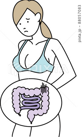 腸のイラスト 88057083