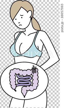 腸のイラスト 88057083