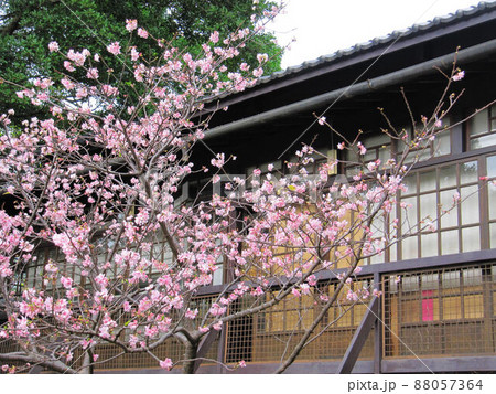 寺 寺院 神殿 88057364