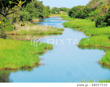 夕闇 たそがれ 薄暮 88057559