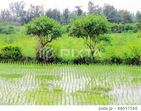 景色 風景 旧跡 88057560