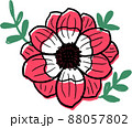 花　春の花　ネモフィラ　赤い花 88057802
