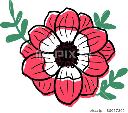 花　春の花　ネモフィラ　赤い花 88057802