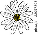 花　春の花　雛菊　 88057803