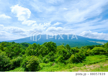 平沢峠から望む夏の八ヶ岳 平沢峠から望む夏の八ヶ岳 88057839
