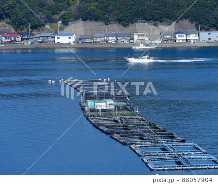 椿湾に浮かぶ真鯛の養殖筏と漁船 椿湾に浮かぶ真鯛の養殖筏と漁船 88057904