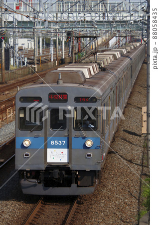 ［DT］東急田園都市線8500系（青帯：Bunkamura号） 88058435