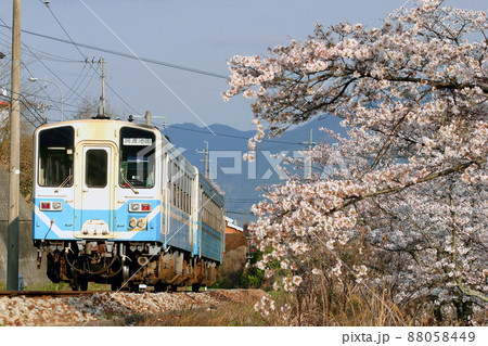 桜咲く箸蔵を行くキハ32 桜咲く箸蔵を行くキハ32 88058449