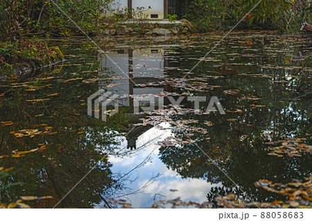 京都 赤山禅院 境内の秋景色 88058683