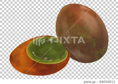 ピータンのイラスト素材 0511