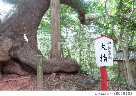 住吉神社 住吉神社 88059102