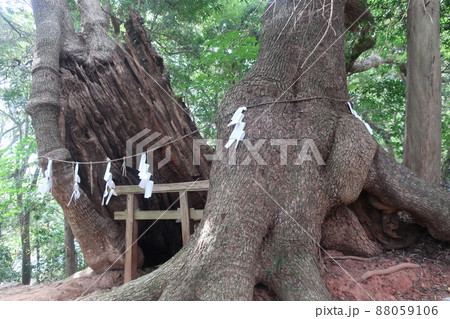 住吉神社 住吉神社 88059106