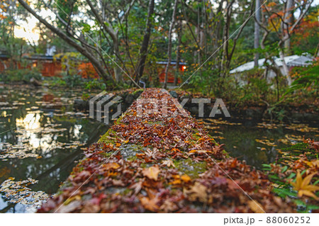 京都 赤山禅院 境内の秋景色 京都 赤山禅院 境内の秋景色 88060252