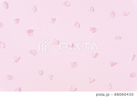 桜の花びらの背景素材 88060430