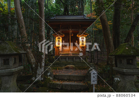 京都 赤山禅院 森の中の幻想的な相生社 88060534