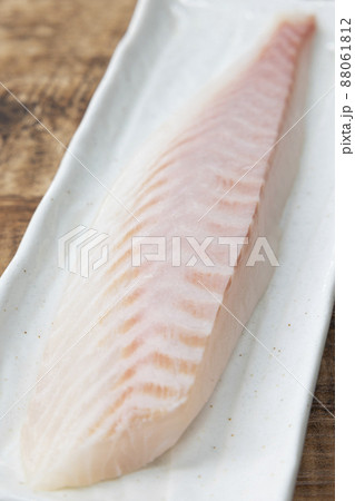 美味しいイシダイの刺身 88061812