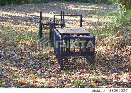 アライグマ等を駆除するための箱罠 88062027