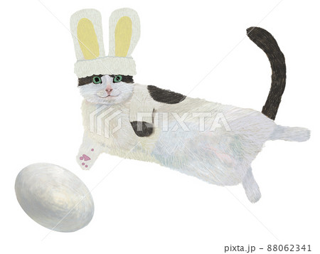 ウサギハチワレ黒猫と卵_横 88062341