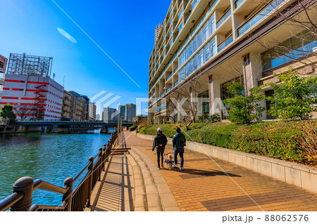 東京 港区芝浦 芝浦アイランドの遊歩道 東京 港区芝浦 芝浦アイランドの遊歩道 88062576