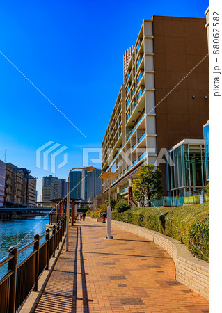 東京　港区芝浦　芝浦アイランドの遊歩道 88062582