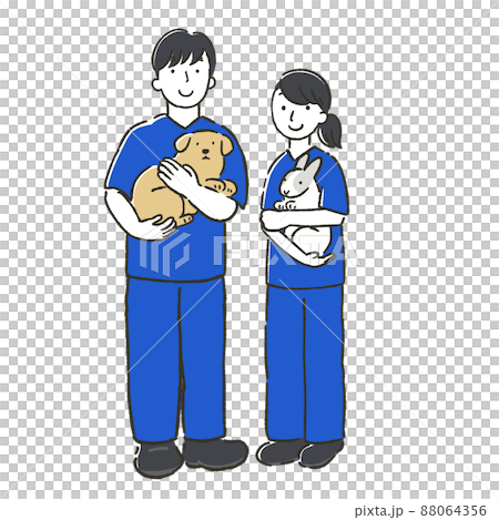 Male and female veterinarians holding dogs and rabbits 88064356