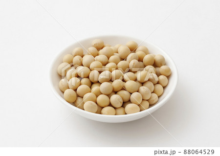 大豆 大豆 88064529