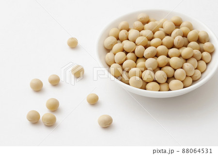 大豆 88064531
