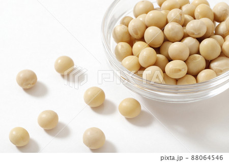 大豆 大豆 88064546