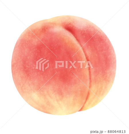 水彩イラスト　桃 88064813