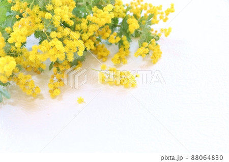 ミモザのフレーム ミモザのフレーム 88064830