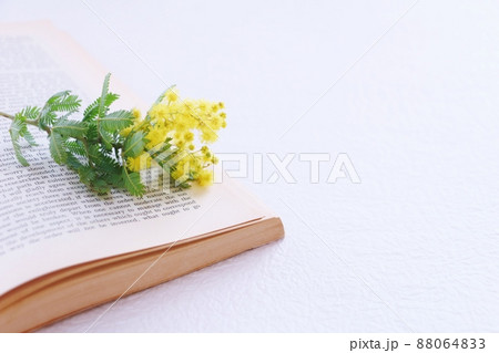 本の上のミモザ 本の上のミモザ 88064833