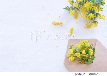 ミモザの花束 ミモザの花束 88064968