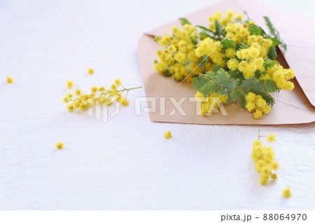 封筒に入ったミモザ 88064970