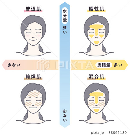 肌質チェック 88065180