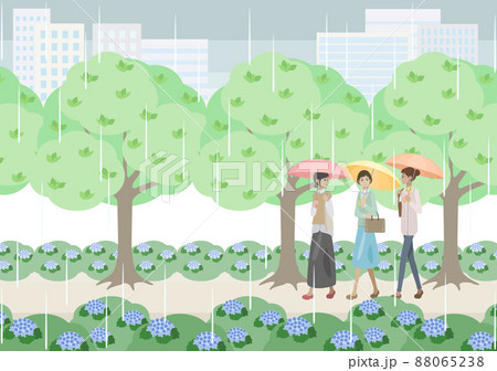 雨の日に紫陽花の咲く道を歩く女性達 雨の日に紫陽花の咲く道を歩く女性達 88065238