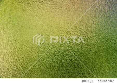 ざらざらしたガラス越しに眺める植物の黄緑色 88065467