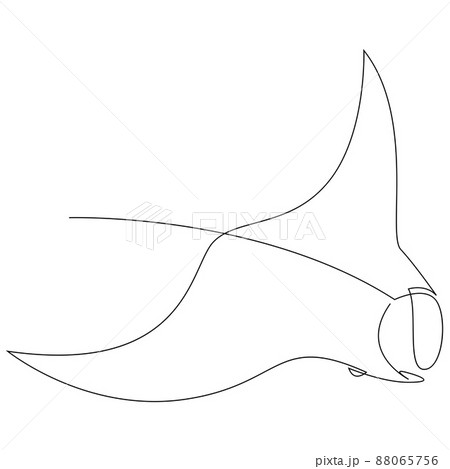 Manta Ray Or Stingray Illustration Drawn By One のイラスト素材