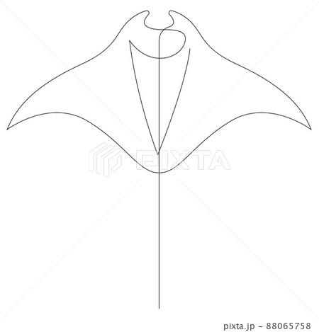 Manta Ray Or Stingray Illustration Drawn By One のイラスト素材
