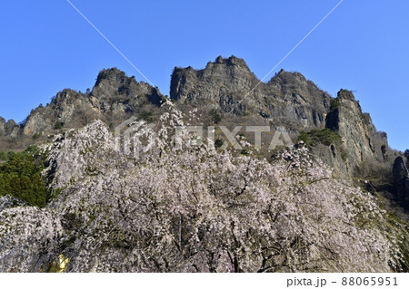 妙義山（金洞山）と桜咲くさくらの里 88065951