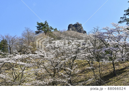 妙義山（筆頭岩）と桜咲くさくらの里 88066024