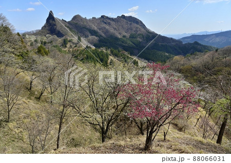 妙義山（筆頭岩と金鶏山）と桜咲くさくらの里 88066031