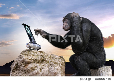知能の高いチンパンジーが岩に座り電子パネルの操作を頭を抱えながら操作する 88066746