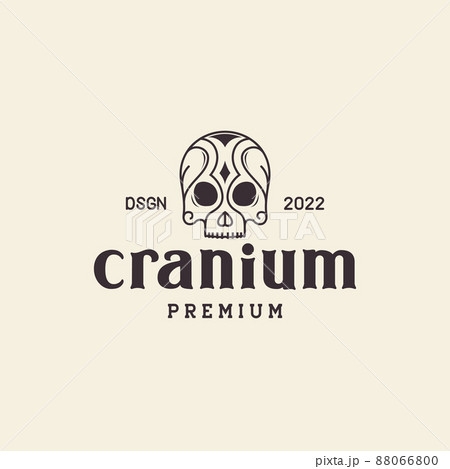 cranium with art vintage logo design, vector graphic symbol icon illustration creative idea 88066800