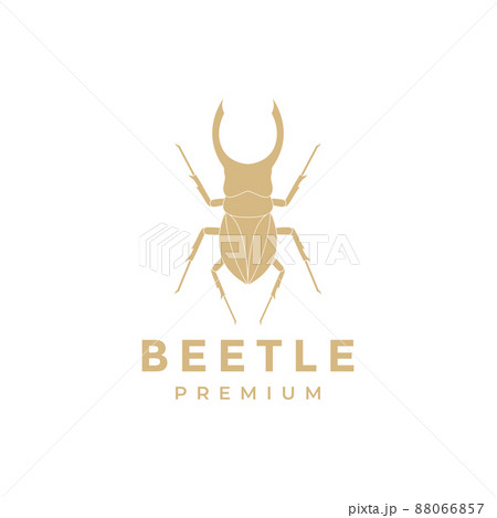 insect beetle male logo design, vector graphic symbol icon illustration creative idea 88066857