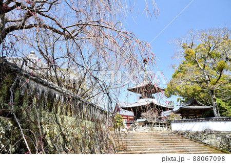 高山寺(多宝塔)　【和歌山県田辺市】 88067098