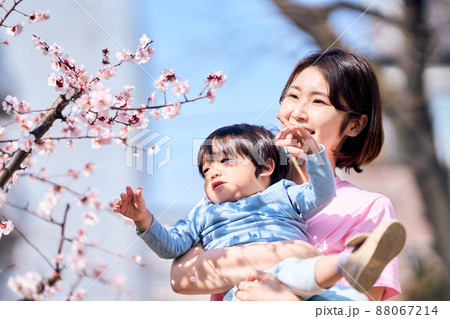 屋外保育イメージ 屋外保育イメージ 88067214