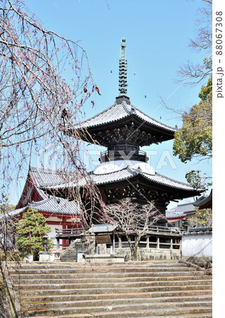 高山寺(本堂[左]・多宝塔[右])　【和歌山県田辺市】 88067308