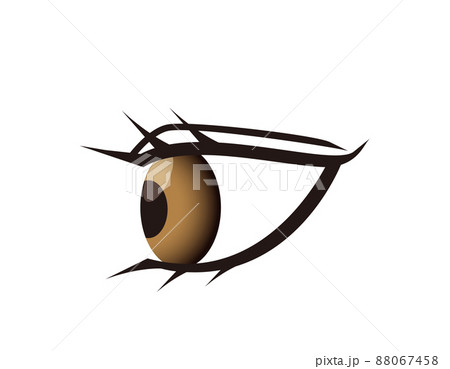 目　ベクターイラスト 88067458