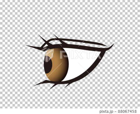 目　ベクターイラスト 88067458